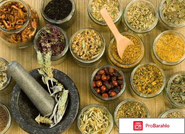 Монастырский чай от алкоголизма: реальные отзывы отрицательные отзывы