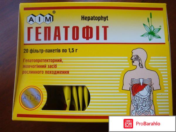 Гепатофит 