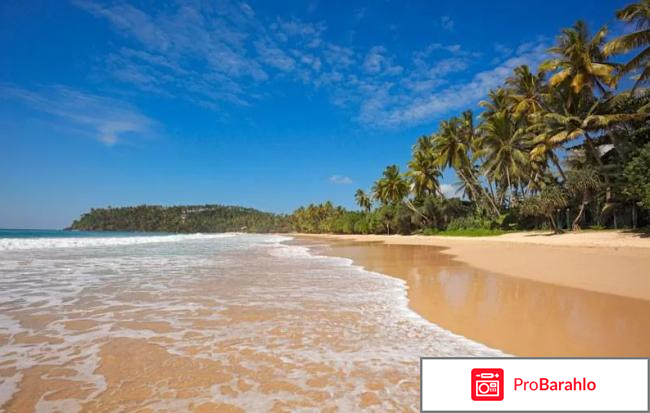 Шри ланка в декабре отзывы туристов отрицательные отзывы