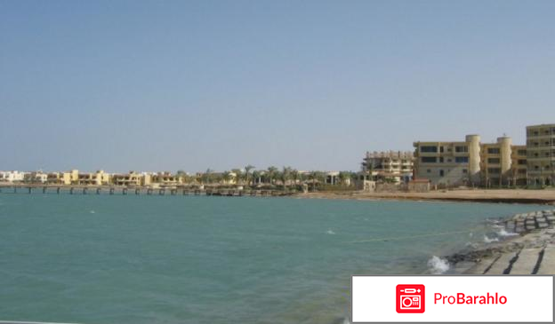 Фестиваль ривьера отзывы владельцев