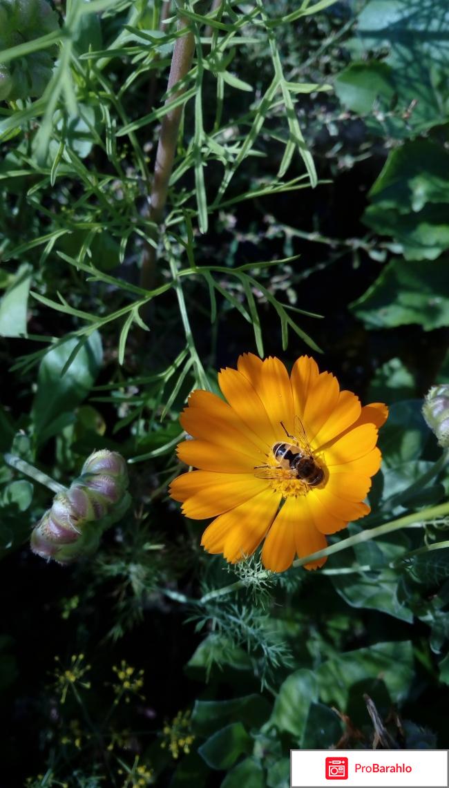 Смартфон HTC Desire 628 dual sim 