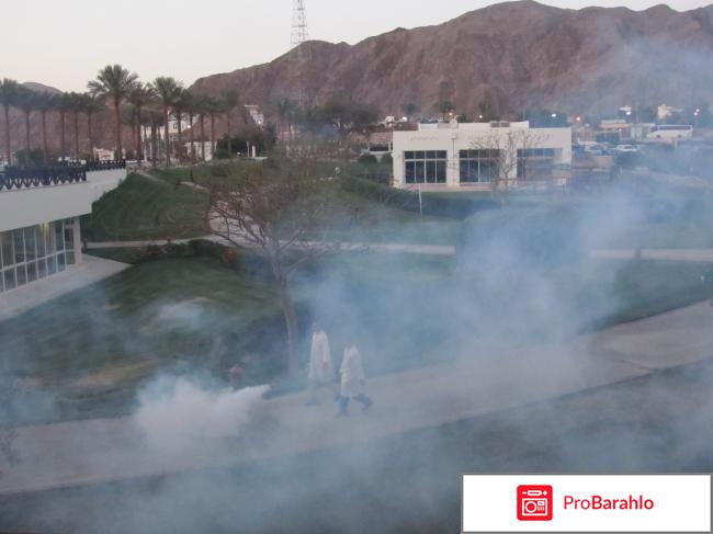 Отель Movenpick Resort Taba***** (Мовенпик Таба*****) отзывы владельцев