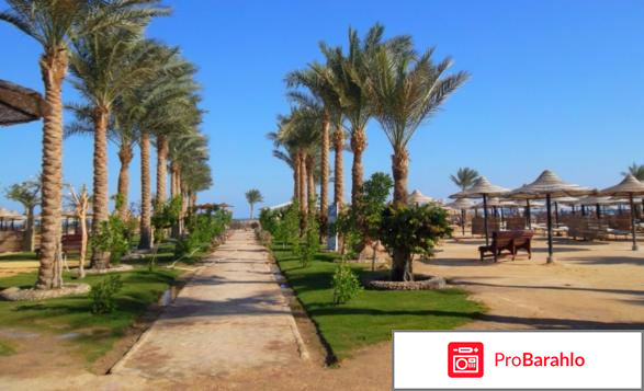 Фестиваль ривьера реальные отзывы