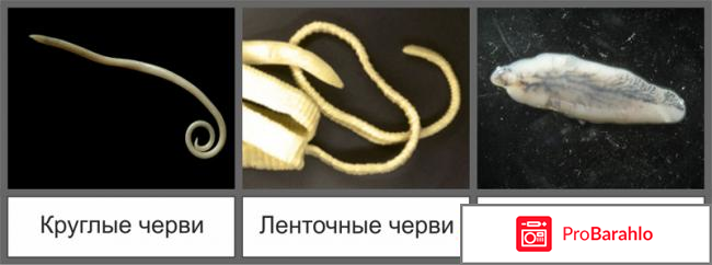 Противопаразитарное средство 