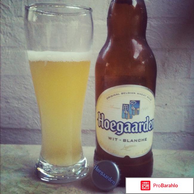 Hoegaarden wit blanche 