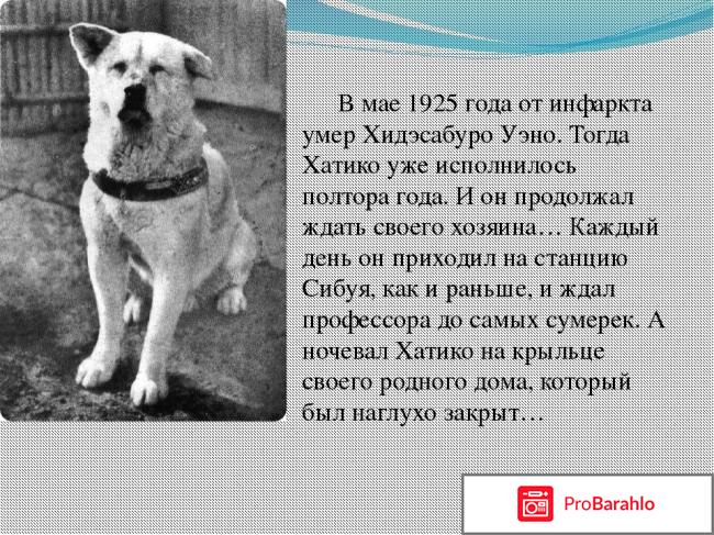 Интересные фильмы отзывы отрицательные отзывы