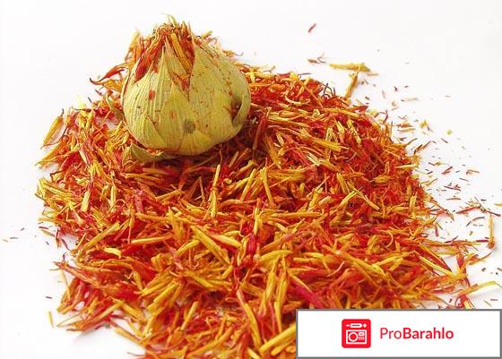 Сафлор обман