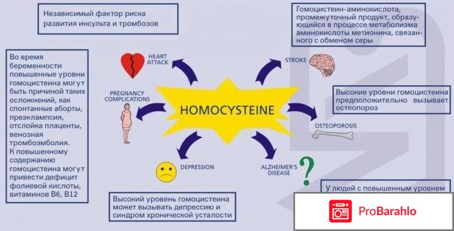 Гомоцистеин повышен отрицательные отзывы