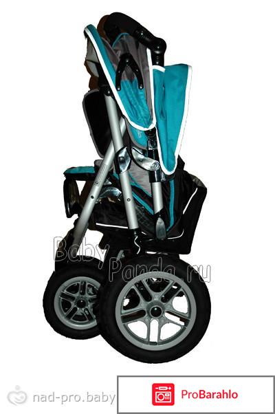 Капелла сибирь 