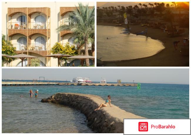 Рейтинг отелей египта реальные отзывы