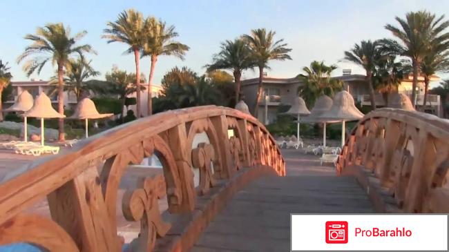 Radisson blu resort sharjah 5 отрицательные отзывы