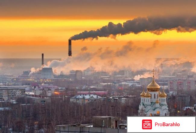 Папиловит (Papilovit) фото