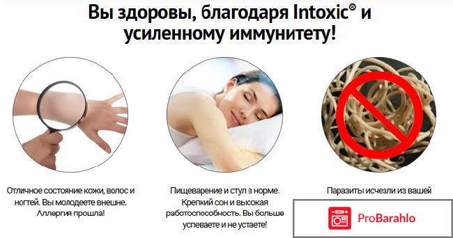 Intoxic купить в аптеке отзывы владельцев