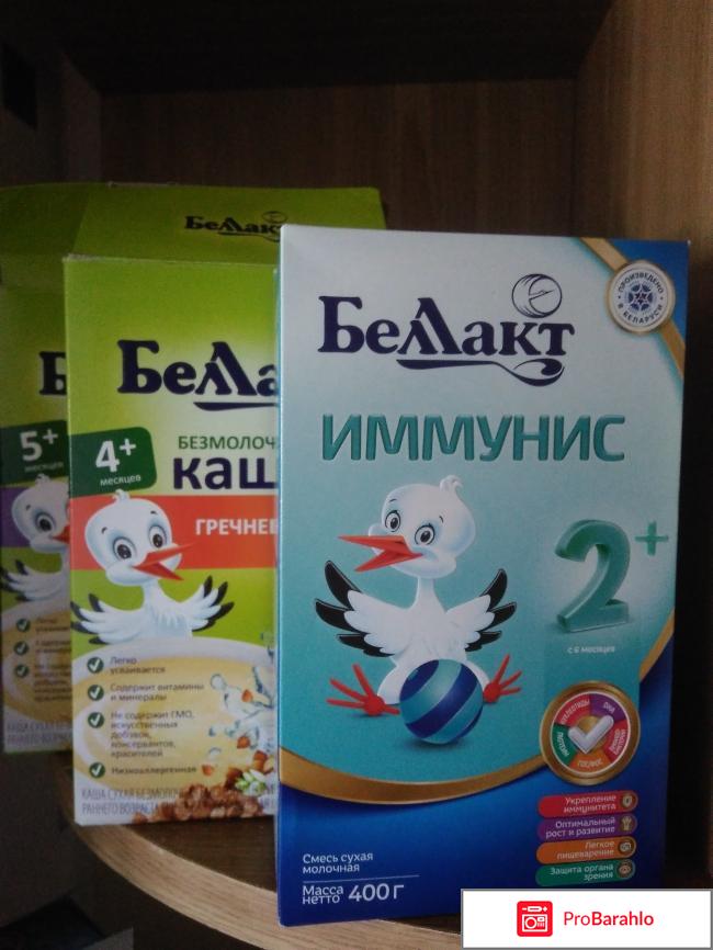 Беллакт