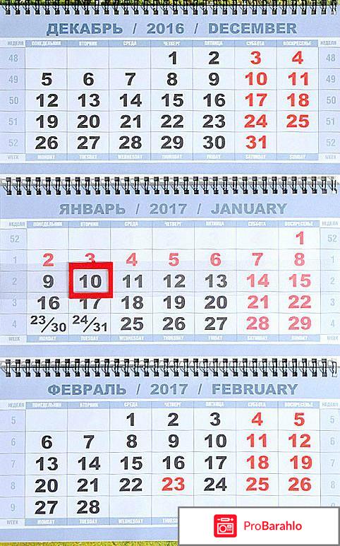 Книга  Календарь 2016-2017 (на спирали). Горы с ромашками отрицательные отзывы