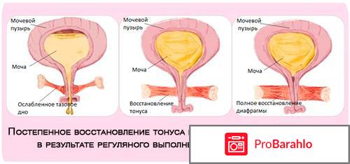 Упражнение кегеля для женщин 