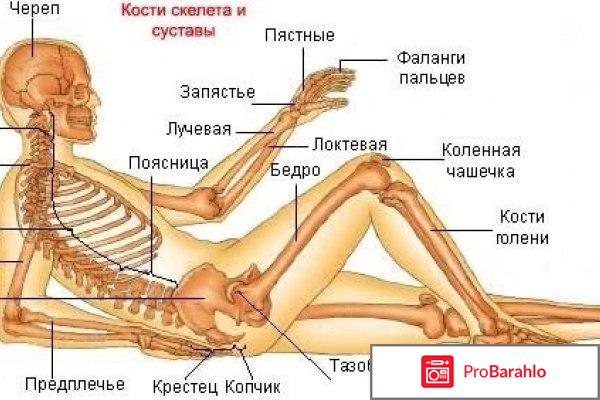 Бальзам Лошадиная сила обман