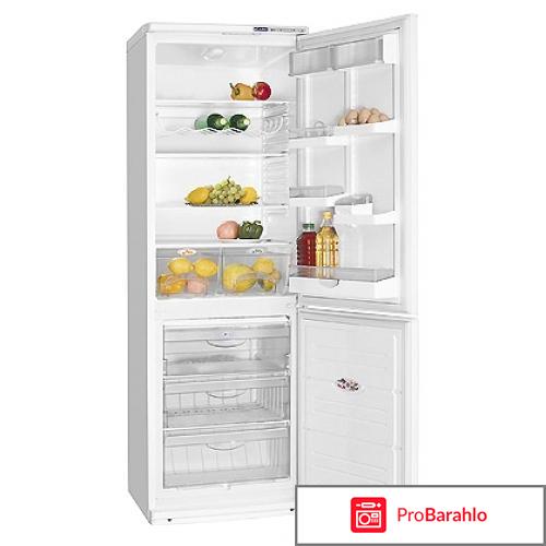 Двухкамерный холодильник ATLANT ХМ 6021-031 обман