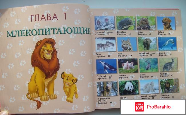 Большая энциклопедия животных 
