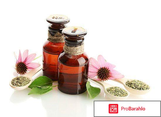 Эхинацея для иммунитета отрицательные отзывы