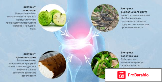 Пантогор для суставов 