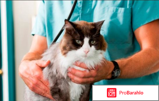 Асд 2 фракция отзывы врачей обман