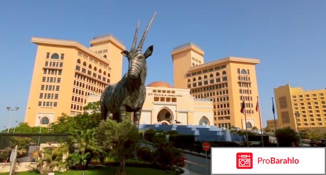 Орёл и Решка. Доха. Рай и Ад-2. фото