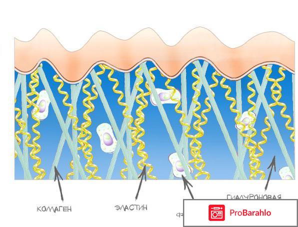 Чистый Коллаген Molecula для омоложения: цена реальные отзывы