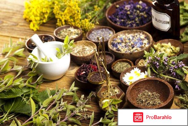 Папиловит (Papilovit) отзывы владельцев