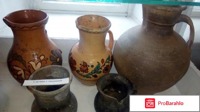 Музей-заповедник  усадьба дворян Поповых обман