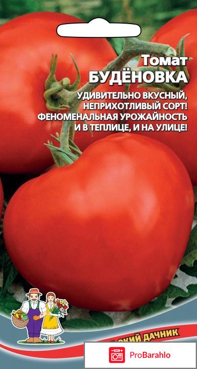 Буденовка томат отзывы фото обман