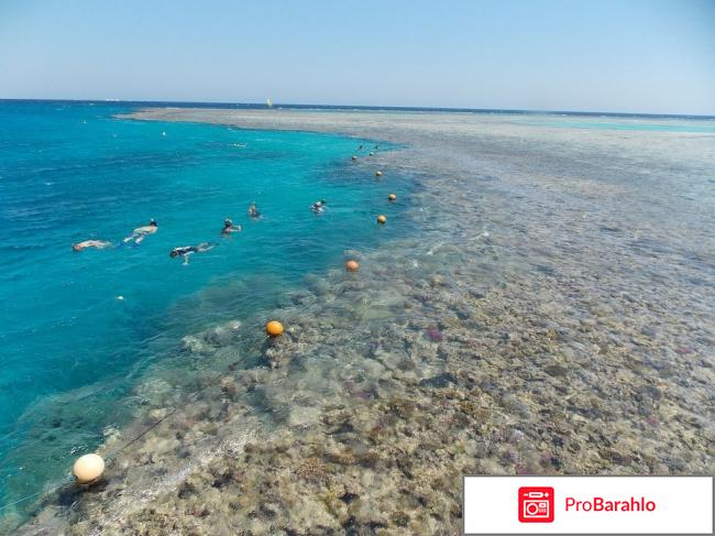 Серенити макади бич обман