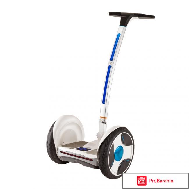 Сигвэй отрицательные отзывы