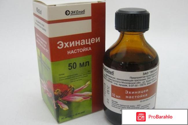 Аналог иммунала отрицательные отзывы