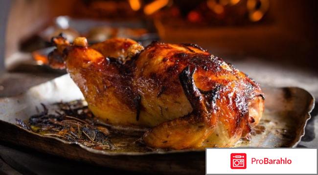 Куриная диета отзывы обман