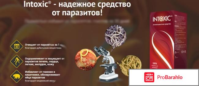 Intoxic очередной развод или правда? реальные отзывы