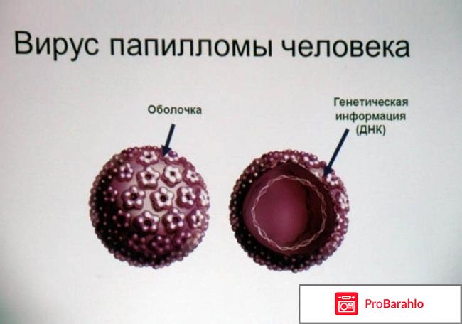Клареол аналоги дешевле отрицательные отзывы