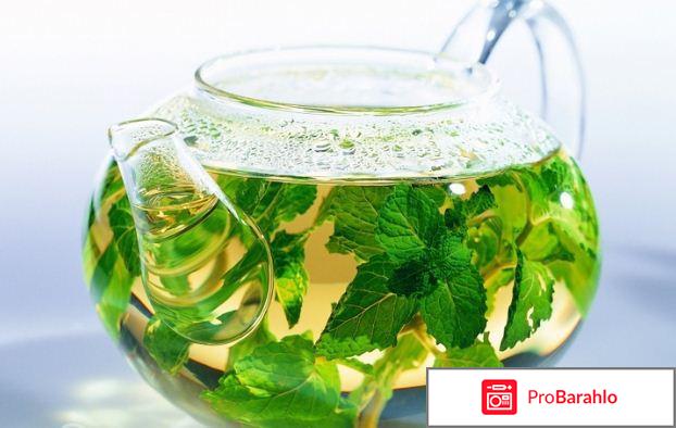 Стевиозид отрицательные отзывы