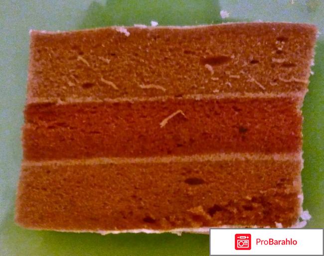 Белёвская пастила яблочная с клюквой обман