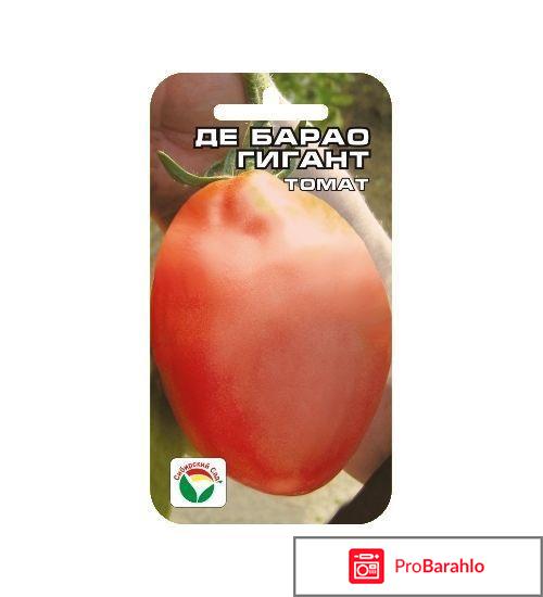 Томат де барао гигант отзывы фото обман