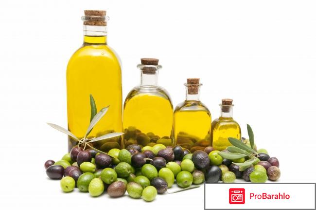 Оливковое масло: полезные свойства, вред и калорийность 