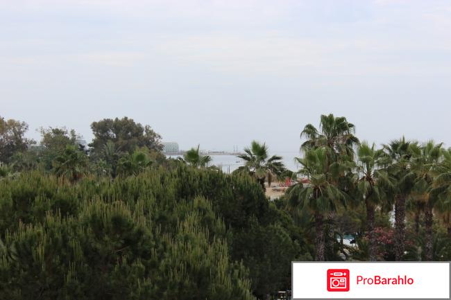 Ozkaymak incekum 5 5 фото