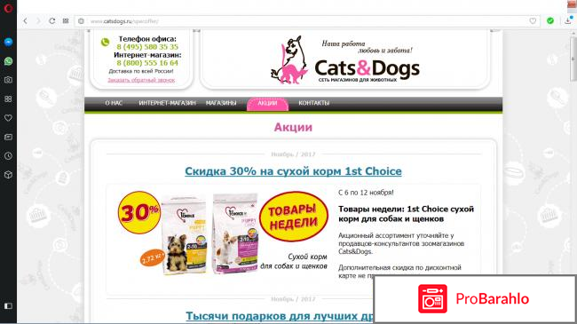 Cats and dogs отрицательные отзывы