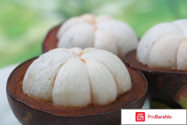 Мангустин отзывы обман