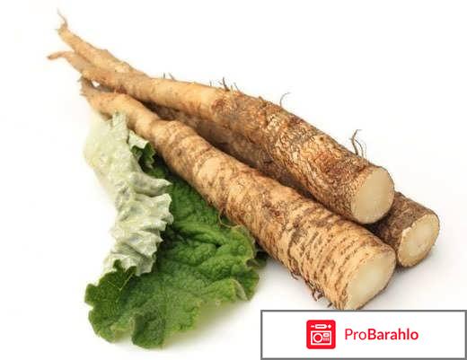 Корень лопуха для волос отзывы отрицательные отзывы