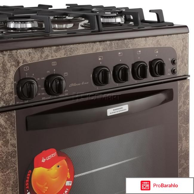 Какие газовые плиты самые лучшие отзывы обман