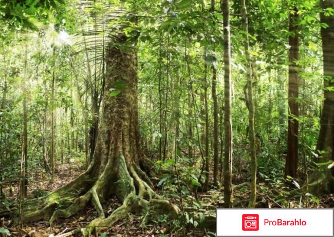 Эквадор отзывы туристов реальные отзывы