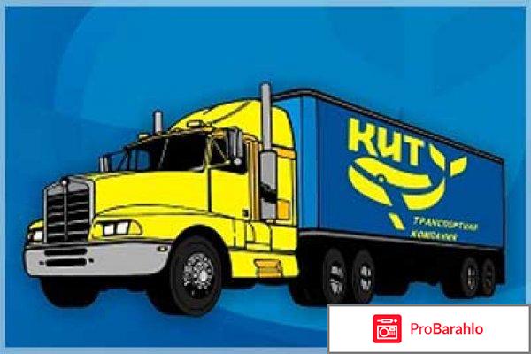 Тк-кит отрицательные отзывы