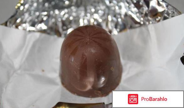 Мишка в лесу отрицательные отзывы