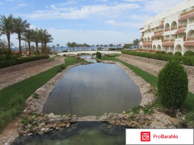 Отель Movenpick Resort Taba***** (Мовенпик Таба*****) реальные отзывы
